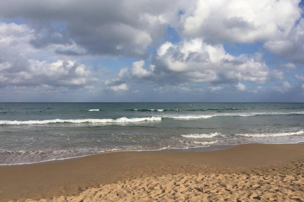 Beach Dream Apartment La Mata  Dış mekan fotoğraf